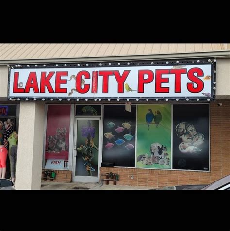 Looking for fish or aquarium accessories! · south county · 5 hours ago pic. . Lake city pets craigslist